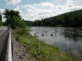 2800-return-day-6-delaware-river